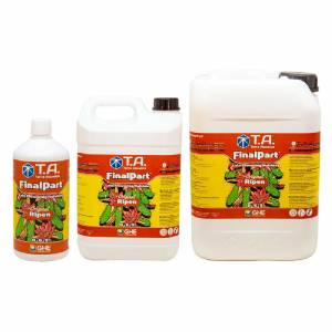 GHE - T.A. - FinalPart (ex Ripen)