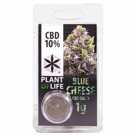 HASH SOLIDO 10% CBD BLUE CHEESE