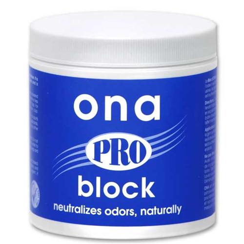 Ona - block elimina odori 170 g