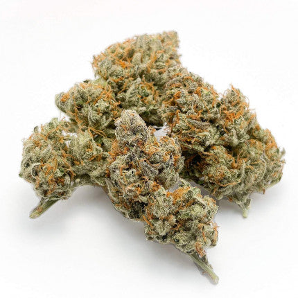 DUTCH PASSION - BANANA BLAZE AUTO