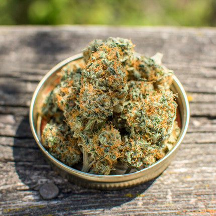DUTCH PASSION - BANANA BLAZE FEM