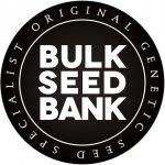 Bulk Seed Auto- Varie Genetiche blister 5 semi