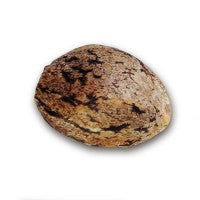 DELICIOUS SEEDS - CARAMELO