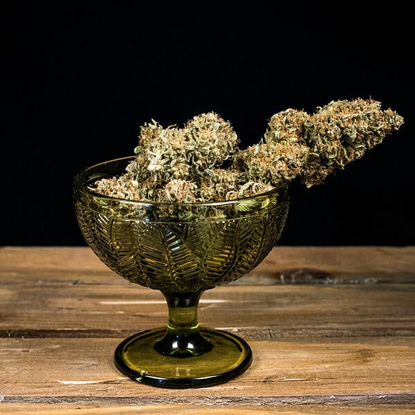 ROYAL QUEEN SEEDS - GREEN GELATO AUTO