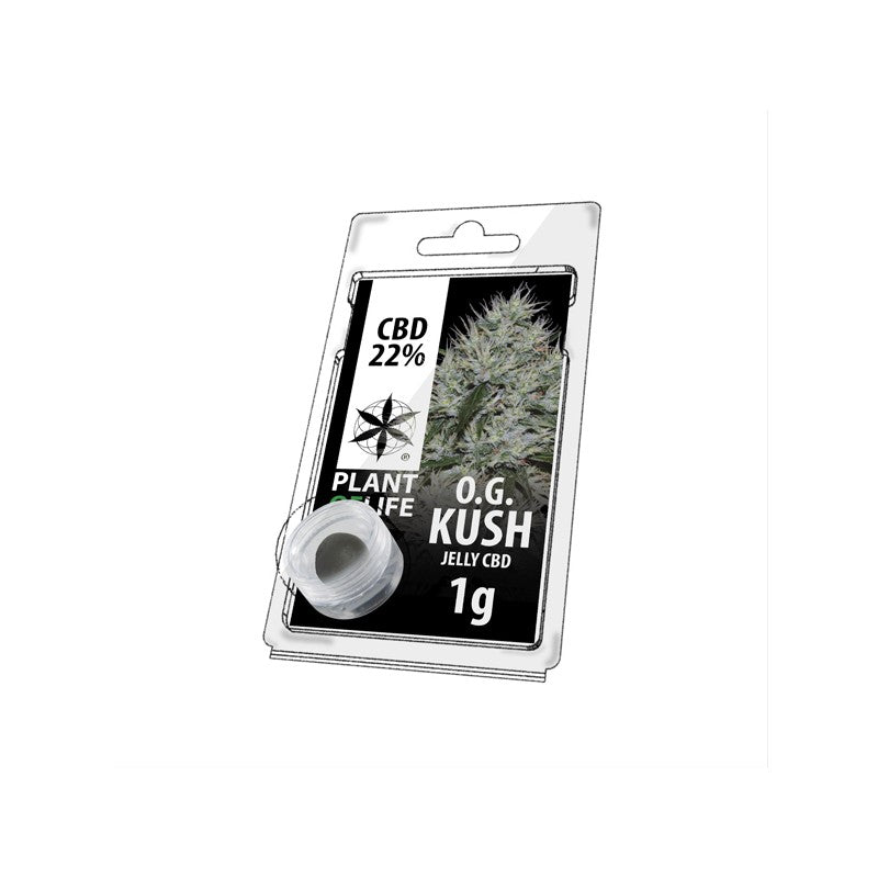 JELLY 22% CBD OG KUSH 1G