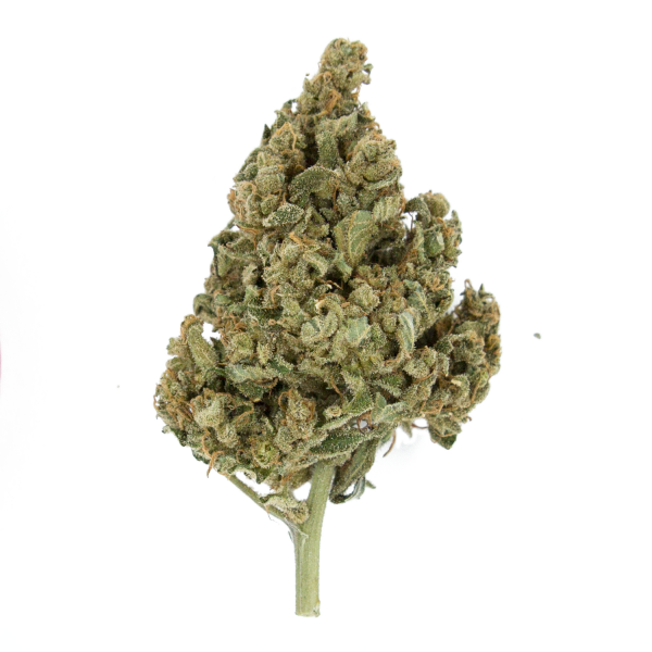 ROYAL QUEEN SEEDS - LEMON SHINING SILVER HAZE