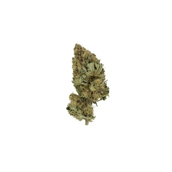 ROYAL QUEEN SEEDS - PINEAPPLE KUSH