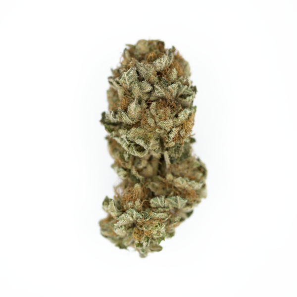 ROYAL QUEEN SEEDS - ROYAL COOKIES - USA PREMIUM