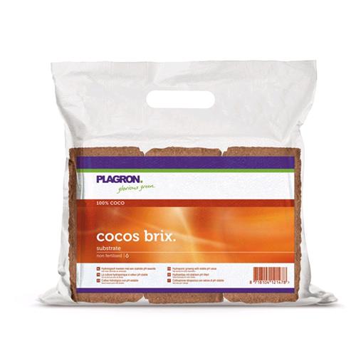 Plagron - Cocos Brix - 6 mattoni in fibra di cocco pressata