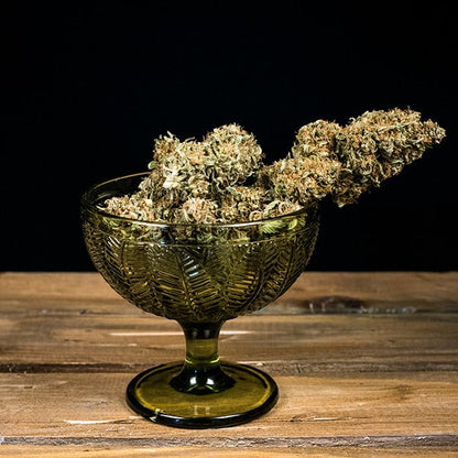 ROYAL QUEEN SEEDS - GREEN GELATO AUTO