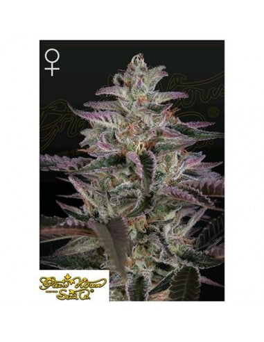GREEN HOUSE - BANANA KRUMBLE